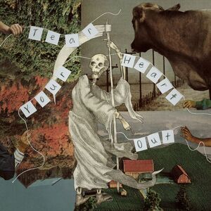 Villagerrr - Tear Your Heart Out  CD
